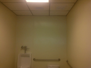 Men's Room Before